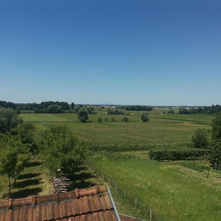 Apartman Sipa Bjelovar Buitenkant foto