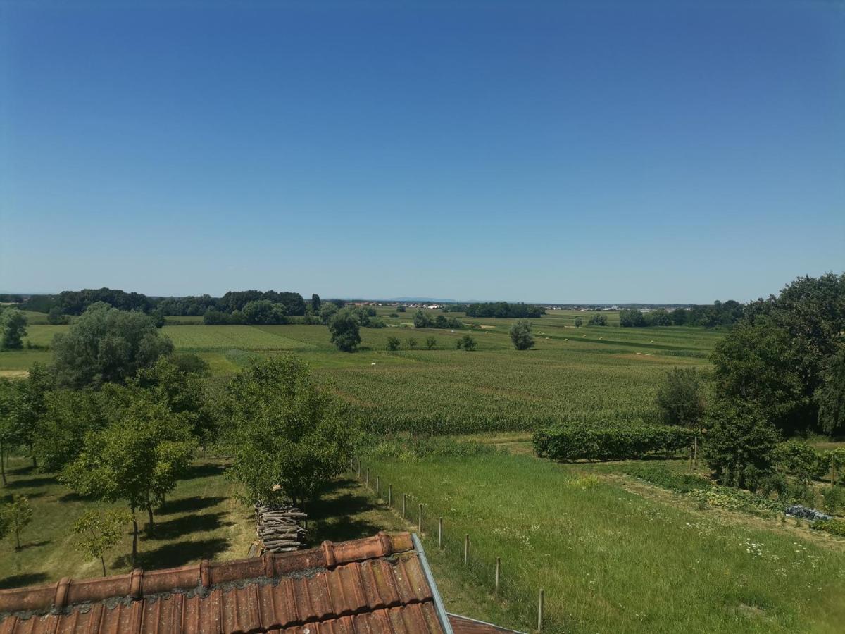 Apartman Sipa Bjelovar Buitenkant foto