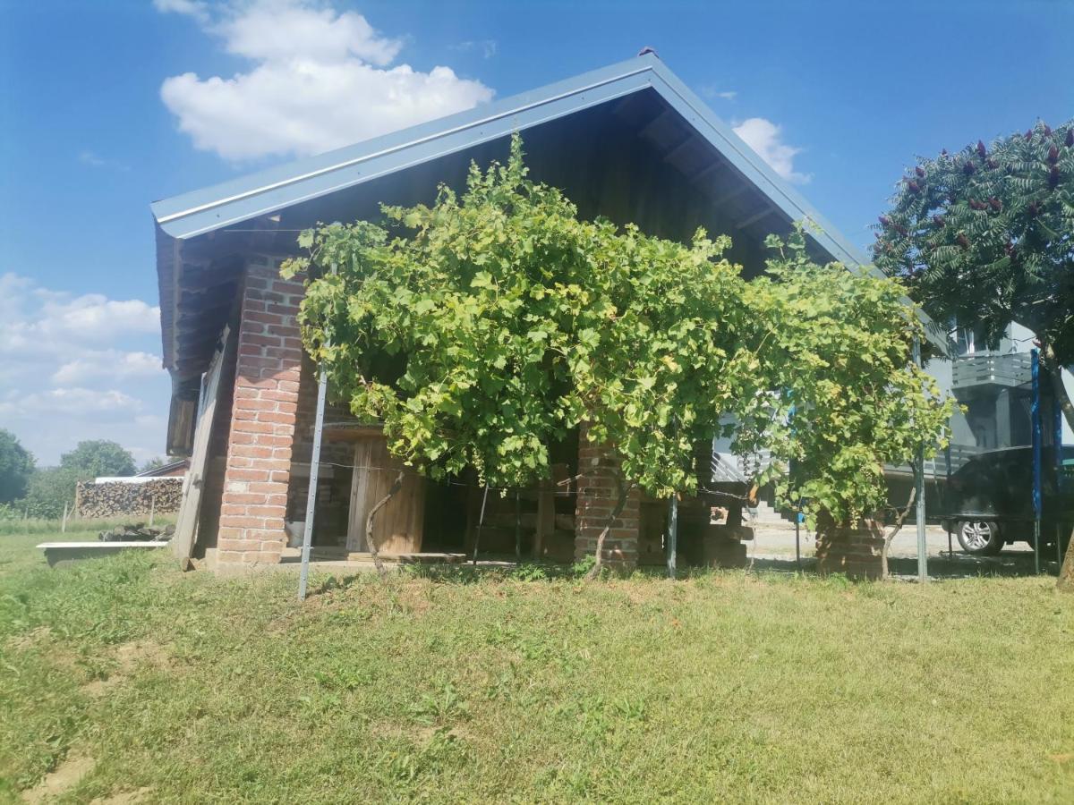 Apartman Sipa Bjelovar Buitenkant foto